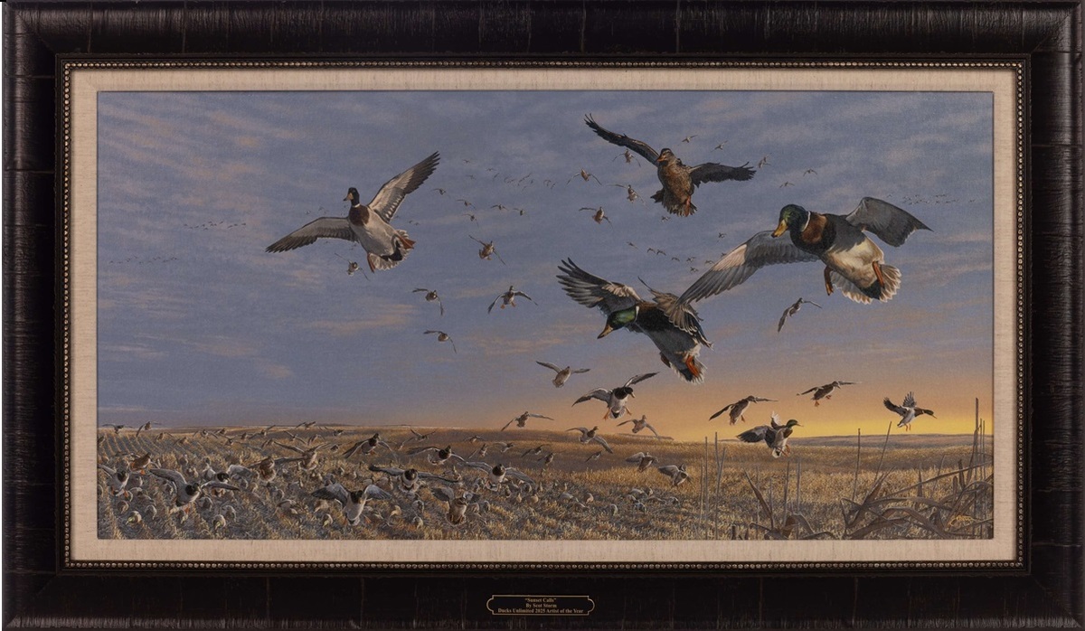 25 DU AOY Scot Storm Sunset Calls.jpg